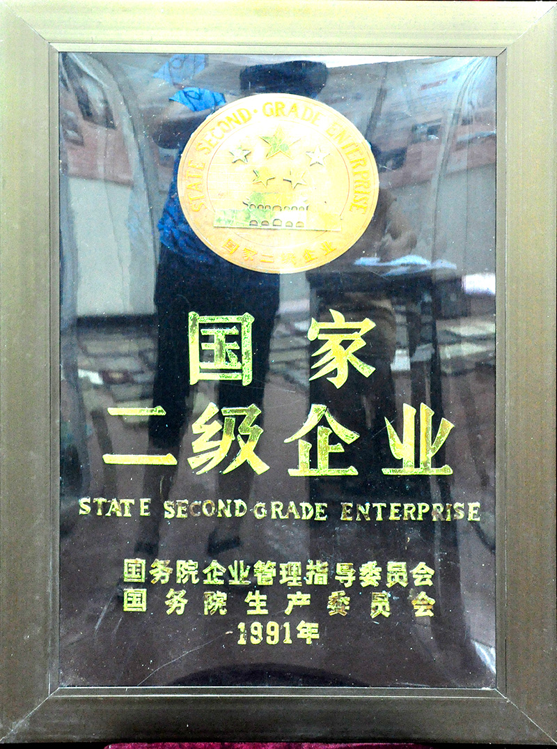 國家二級企業